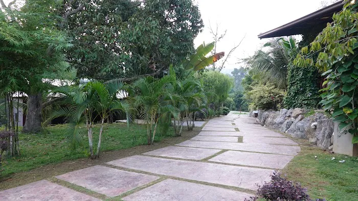 The Acacia Retreat Picture 5