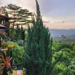 Cabinz Ecottage