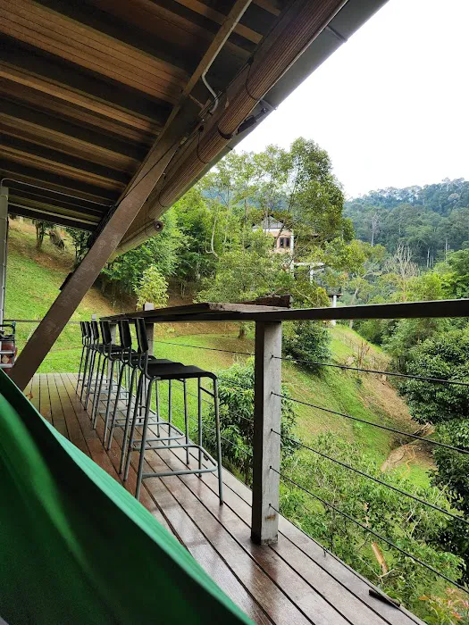 Langit Rimba Picture 6