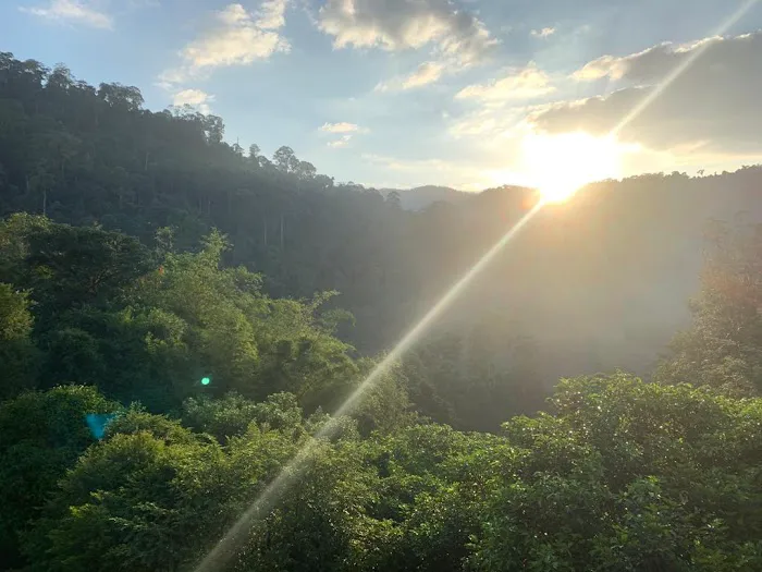 Langit Rimba Picture 5