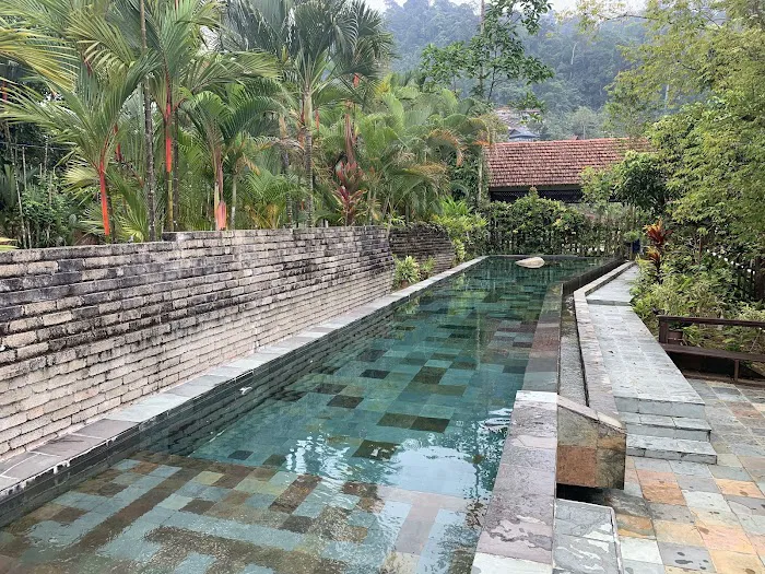 Langit Rimba Picture 10
