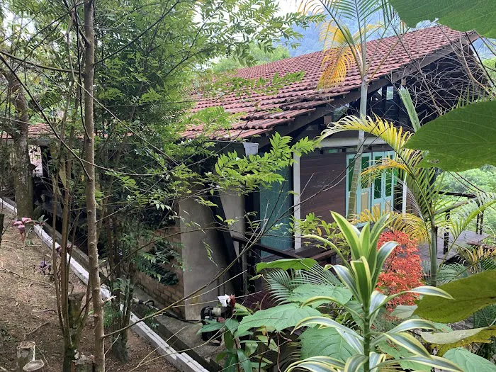 Langit Rimba Picture 1