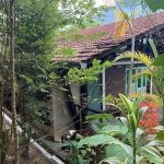 Langit Rimba