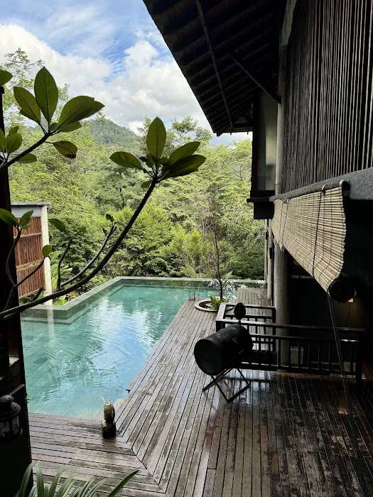 The Shorea Estate Picture 4