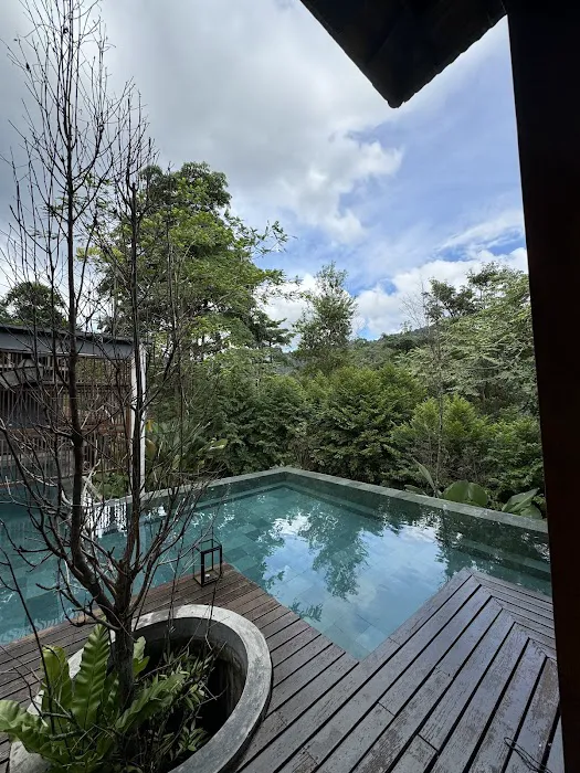The Shorea Estate Picture 2