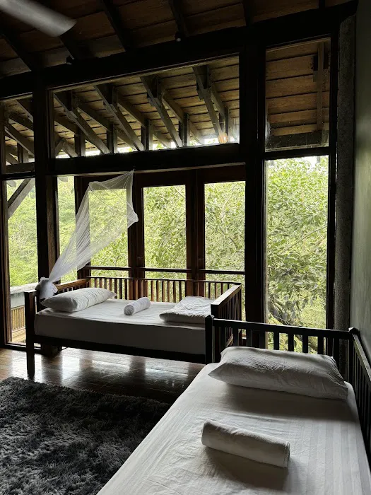 The Shorea Estate Picture 5