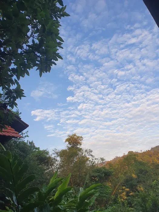 The Dusun Picture 8