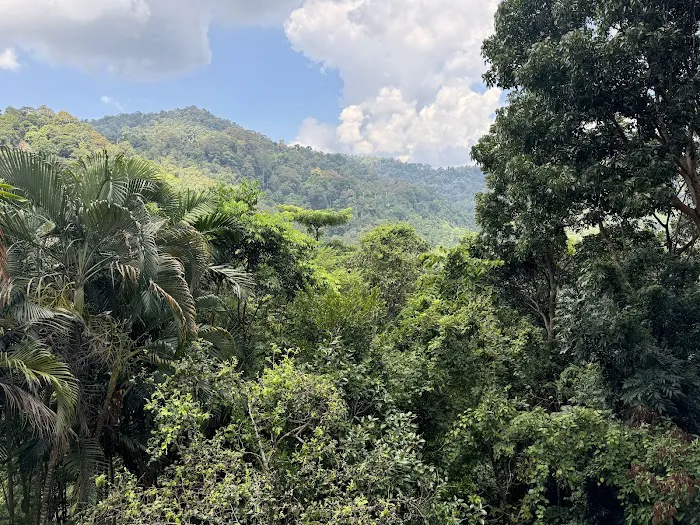 The Dusun Picture 7