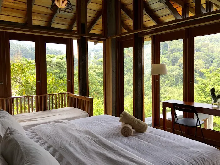 The Shorea Picture 10