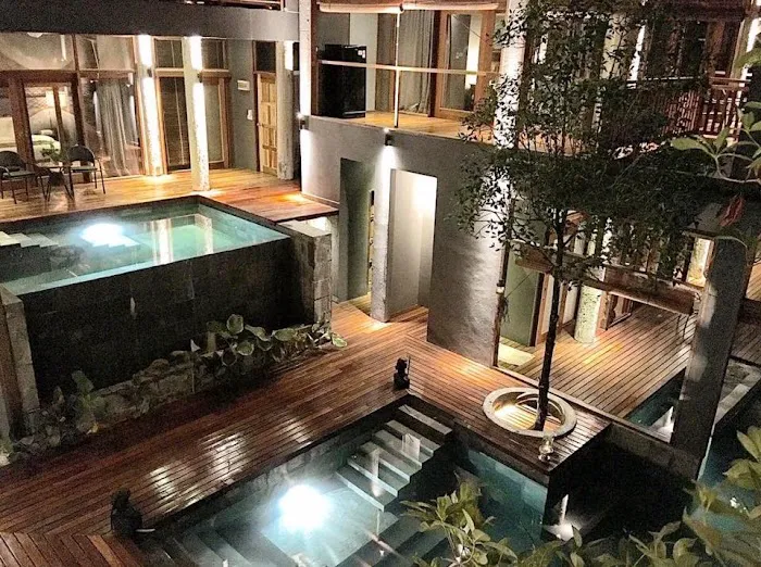 The Shorea Picture 1