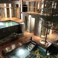 The Shorea ico