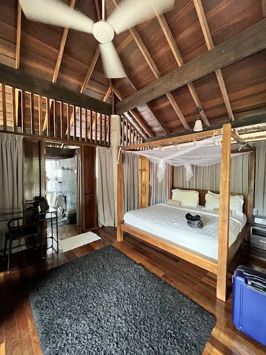 The Shorea Picture 6
