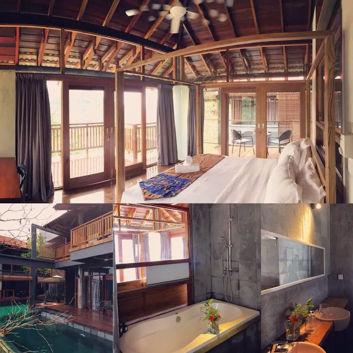 The Shorea Picture 9