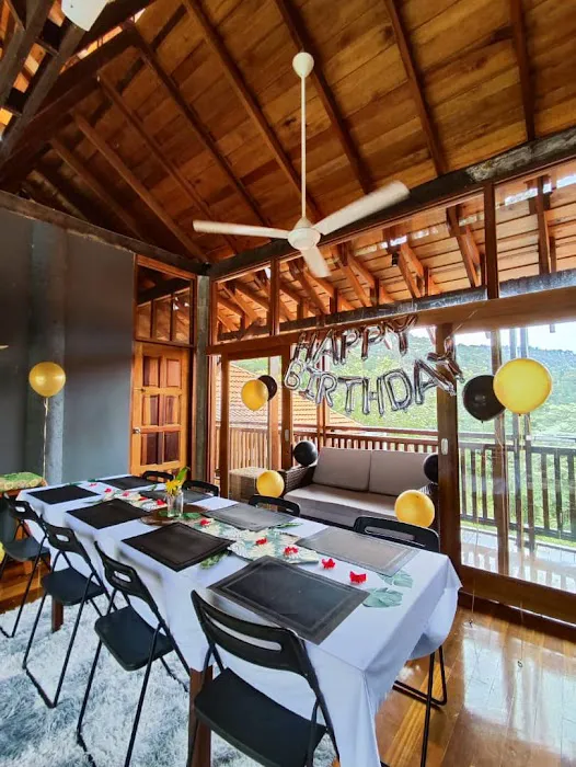 The Shorea Picture 7