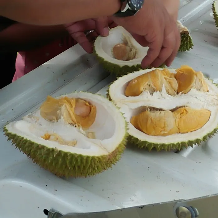 Penginapan Kota Putera Picture 5