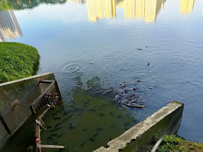 Taman Tasik Danau Kota Picture 9