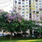 Taman Kejiranan Ayer Panas Setapak