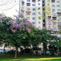 Taman Kejiranan Ayer Panas Setapak ico