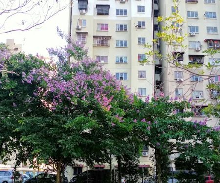 Taman Kejiranan Ayer Panas Setapak