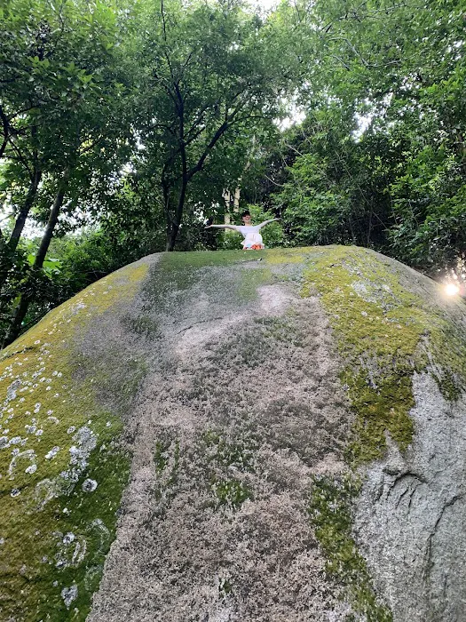 Uzzinho’s Yellow Rock Picture 7