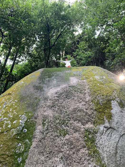 Uzzinho’s Yellow Rock Picture 9