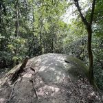 Uzzinho’s Yellow Rock