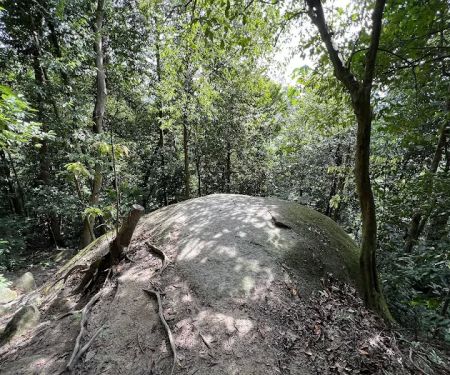 Uzzinho’s Yellow Rock