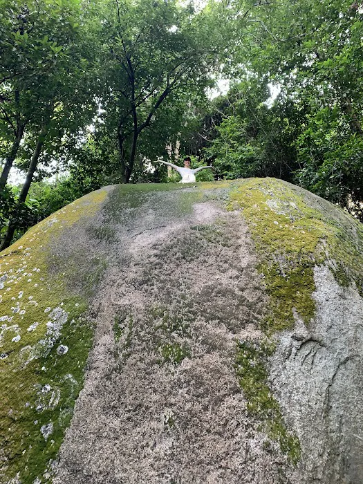 Uzzinho’s Yellow Rock Picture 8