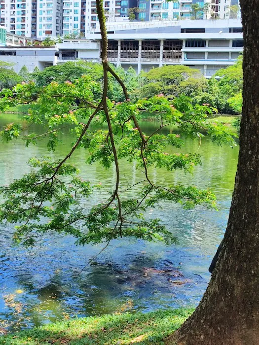 Tasik Danau Kota Park Picture 8