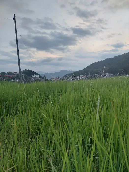 Bukit Setiawangsa Park Picture 5