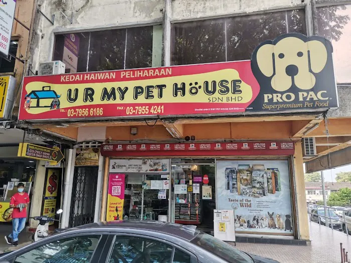 U R My Pet House Picture 4