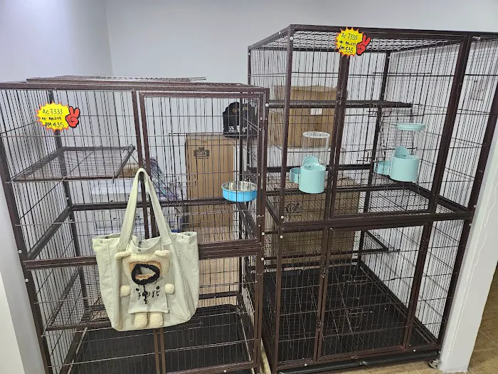 My Pet Products - Kuchai Lama Picture 9