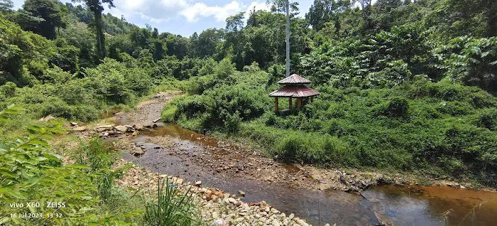 Lata Mentagan Waterfall Picture 1