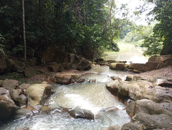 Lata Mentagan Waterfall Picture 3