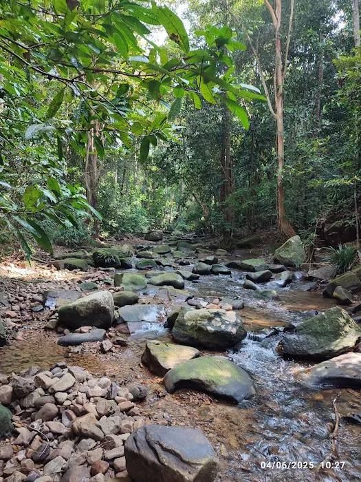 Lata Mentagan Waterfall Picture 4