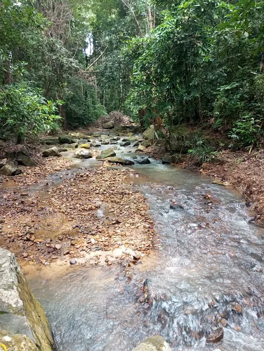 Lata Mentagan Waterfall Picture 5