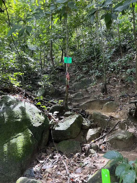 Trailhead Bukit Batu Pahat via indian temple Picture 4