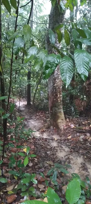 Trailhead Bukit Batu Pahat via indian temple Picture 1