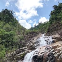 Hutan Lipur Eco Rimba Jerangkang ico