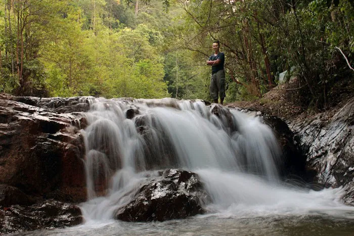 Hutan Lipur Eco Rimba Jerangkang Picture 2