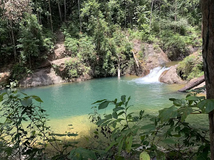 Hutan Lipur Eco Rimba Jerangkang Picture 3