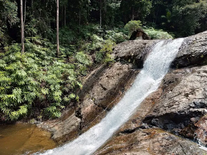 Hutan Lipur Eco Rimba Jerangkang Picture 9