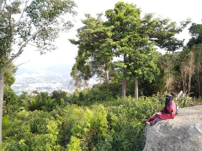 Bukit Batu Belah Picture 7