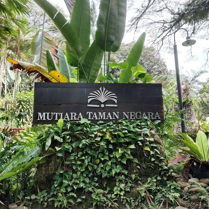 Padang Bola Tasik Picture 6