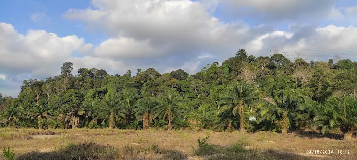 Padang Bola Tasik Picture 3