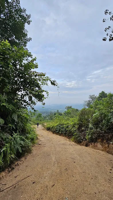 Bukit Batu Pahat (Puncak) Picture 4