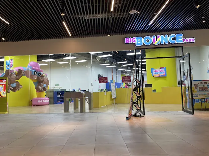 Big Bounce Park Picture 6