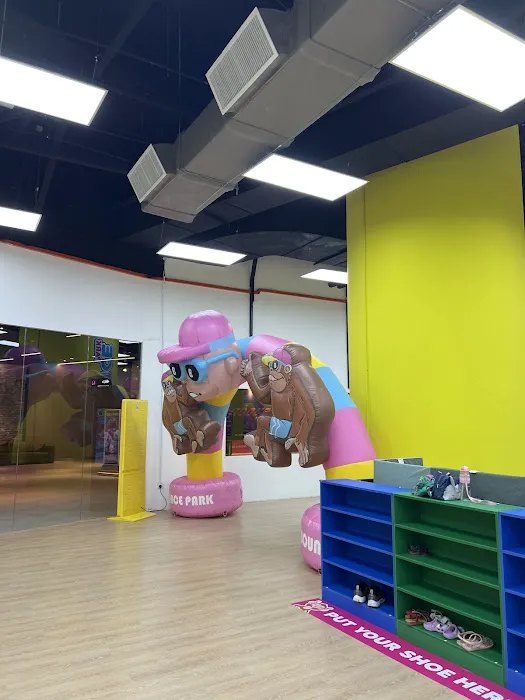 Big Bounce Park Picture 4