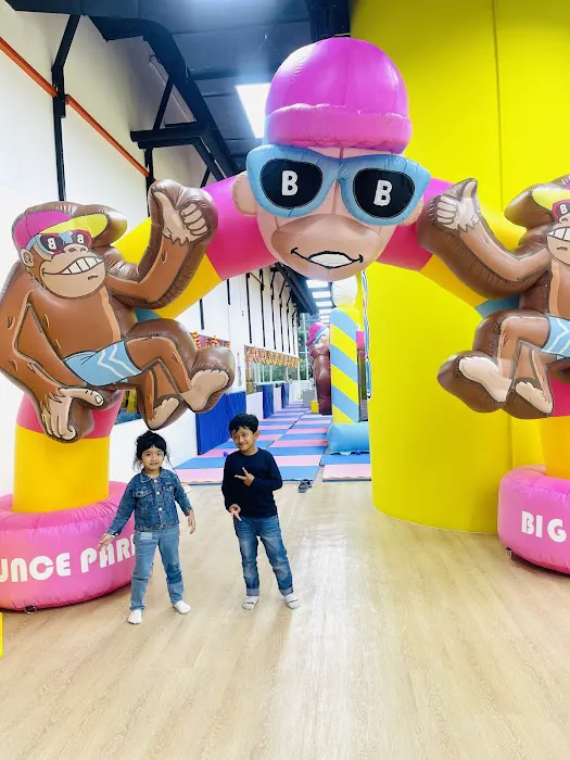 Big Bounce Park Picture 5