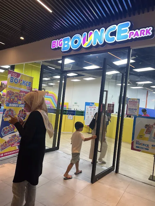 Big Bounce Park Picture 8